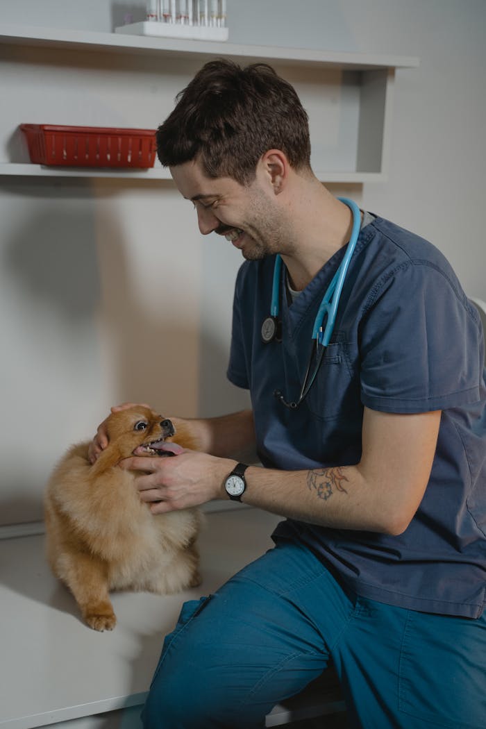 embark